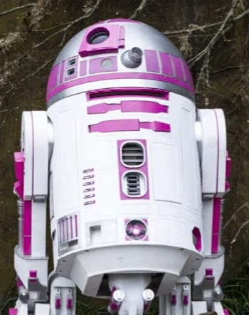 R2-KT is a special droid honoring the memory of Katie Johnson. She appears in The Clone Wars & The Force Awakens. It's an oversight that she doesn't appear in The Last Jedi, so in  @dkpublishing Ultimate Star Wars I made it clear she escaped D'Qar before the First Order arrives.