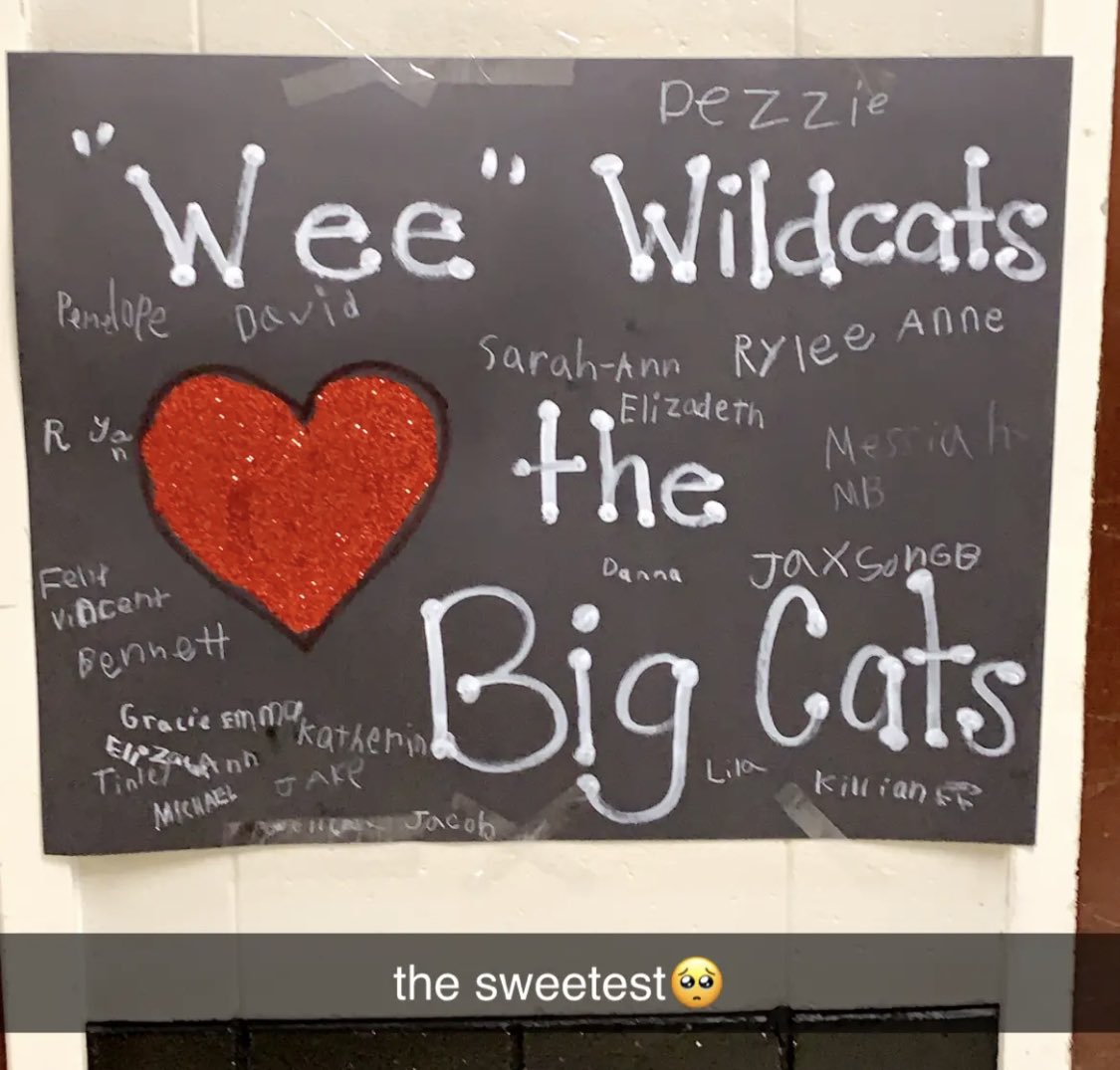 SusanFennell14's tweet photo. We managed to create a little something for the wildcats in between all things first grade! #rhpsisthebest #weecatlove https://t.co/GuEkGi2T09