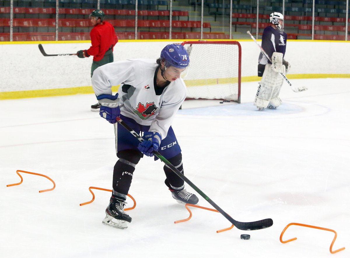 Sudbury hockey standouts keeping busy, staying in shape while waiting for season to start thesudburystar.com/sports/local-s… #ohl #nojhl