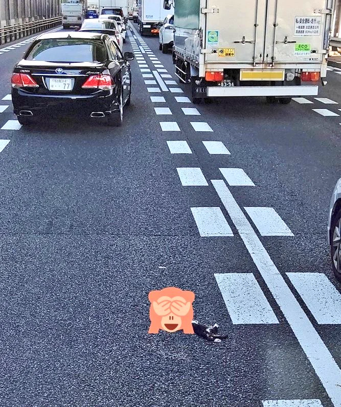 @HEISEI_love_bot 今、目の前に 