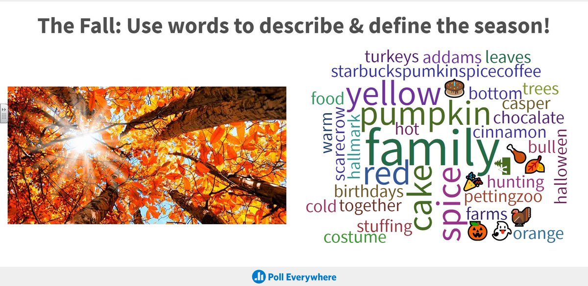 Meaghan Shuffield tweet media