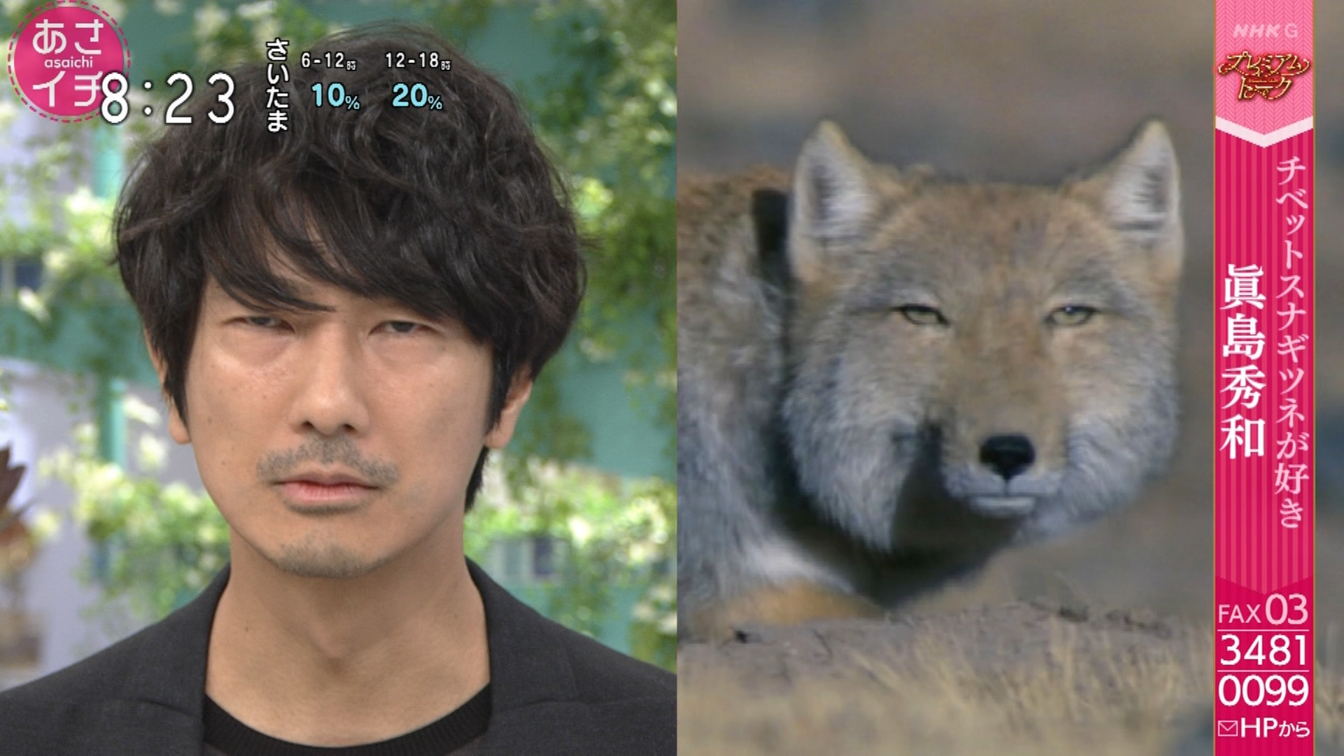 ひぞっこ 眞島秀和はチベスナ顔 検証 日テレ版とnhk版 おじさんはカワイイものがお好き あさイチ 眞島秀和 ひぞっこ 眞島秀和はチベスナ顔 検証 日テレ版とnhk版 おじさんはカワイイものがお好き あさイチ 眞島秀和