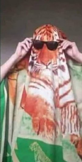 AlertNew24's tweet image. 🇻🇪 | URGENTE joven se disfraza de tigre al no tener una sábana blanca para hacerlo de fantasma