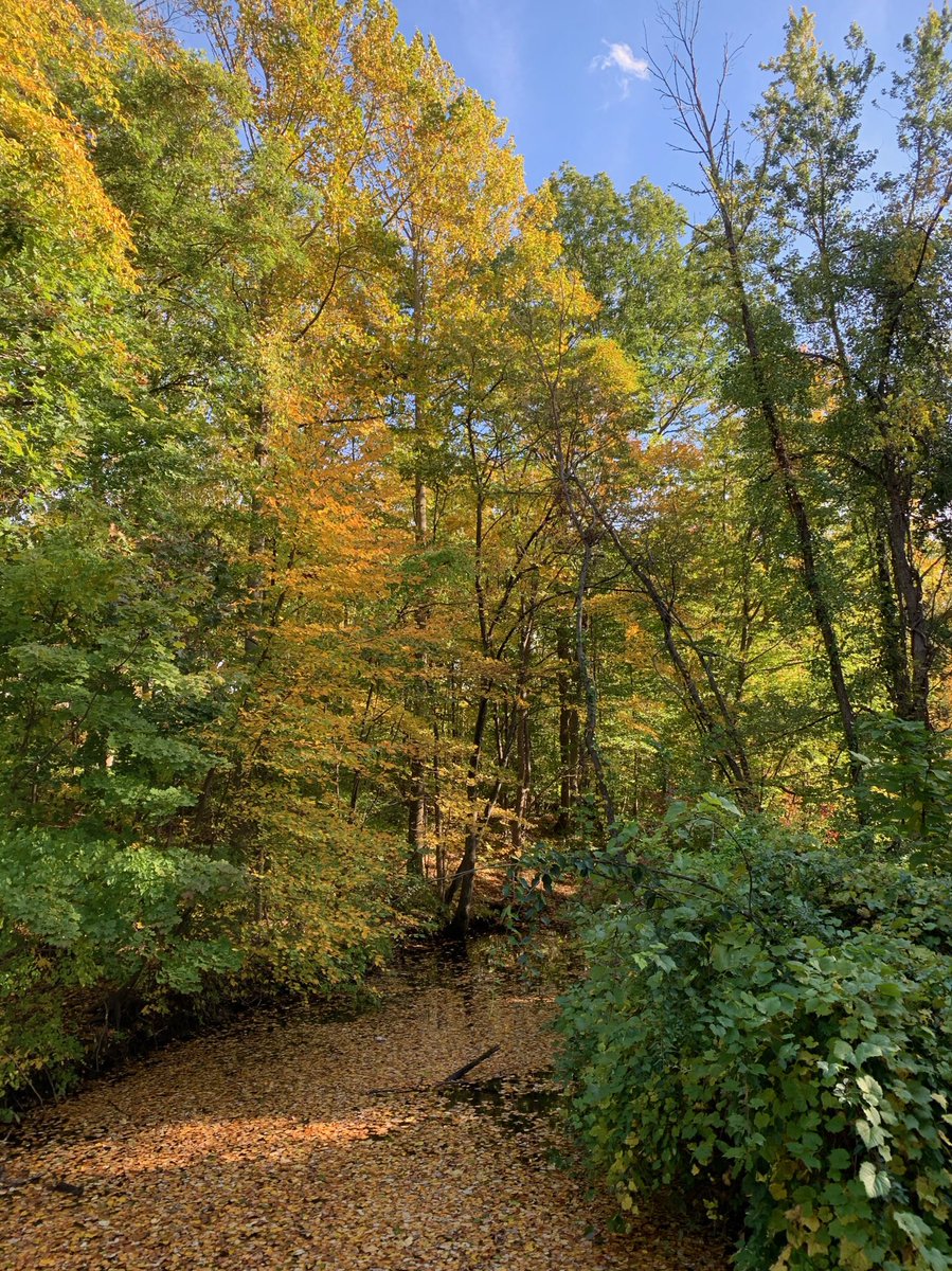 CTClimateAction's tweet image. Thank you @Record_Journal for joining us today on our cleanup! Join us next week as we make our way further down the trail! #ClimateAction #ClimateChange #ClimateCrisis #plasticpollution #pollution