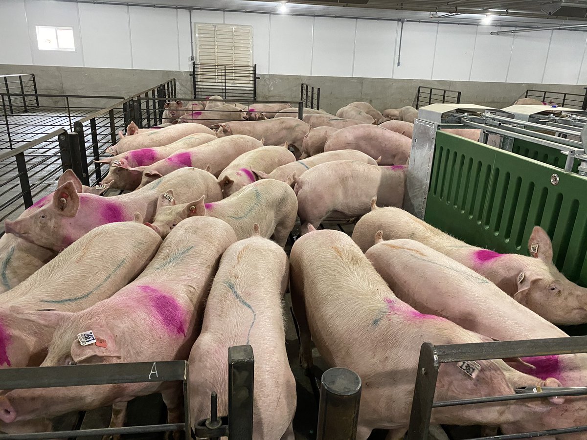 Connect OnFarm tweet media