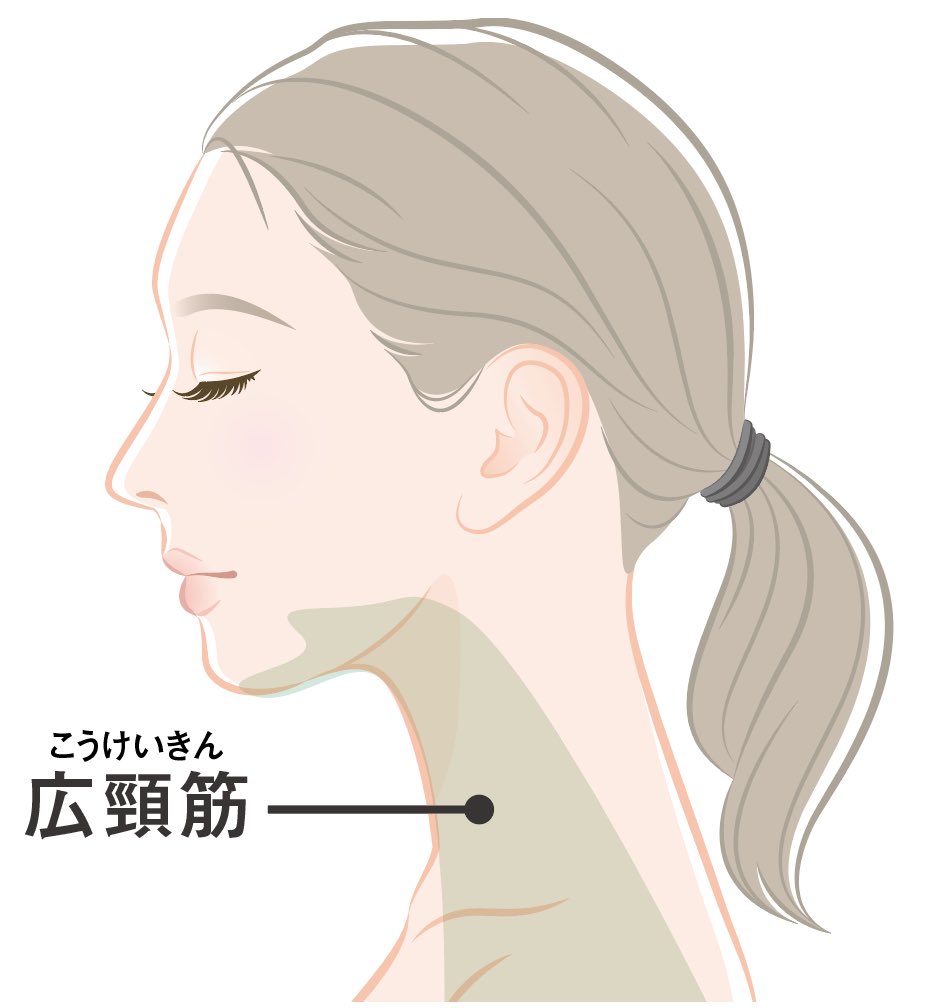 FBGkeR5eucbqPxx's tweet photo. 【首のシワを消す方法】

シワにストレッチは逆効果😵
伸びて余計にたるみます！
二重顎を解消して正しくシワを撃退！

▶︎https://t.co/5YVi4c3GlV

#くびのしわ #美容 #きんとれ https://t.co/SBbFHlpYwo
