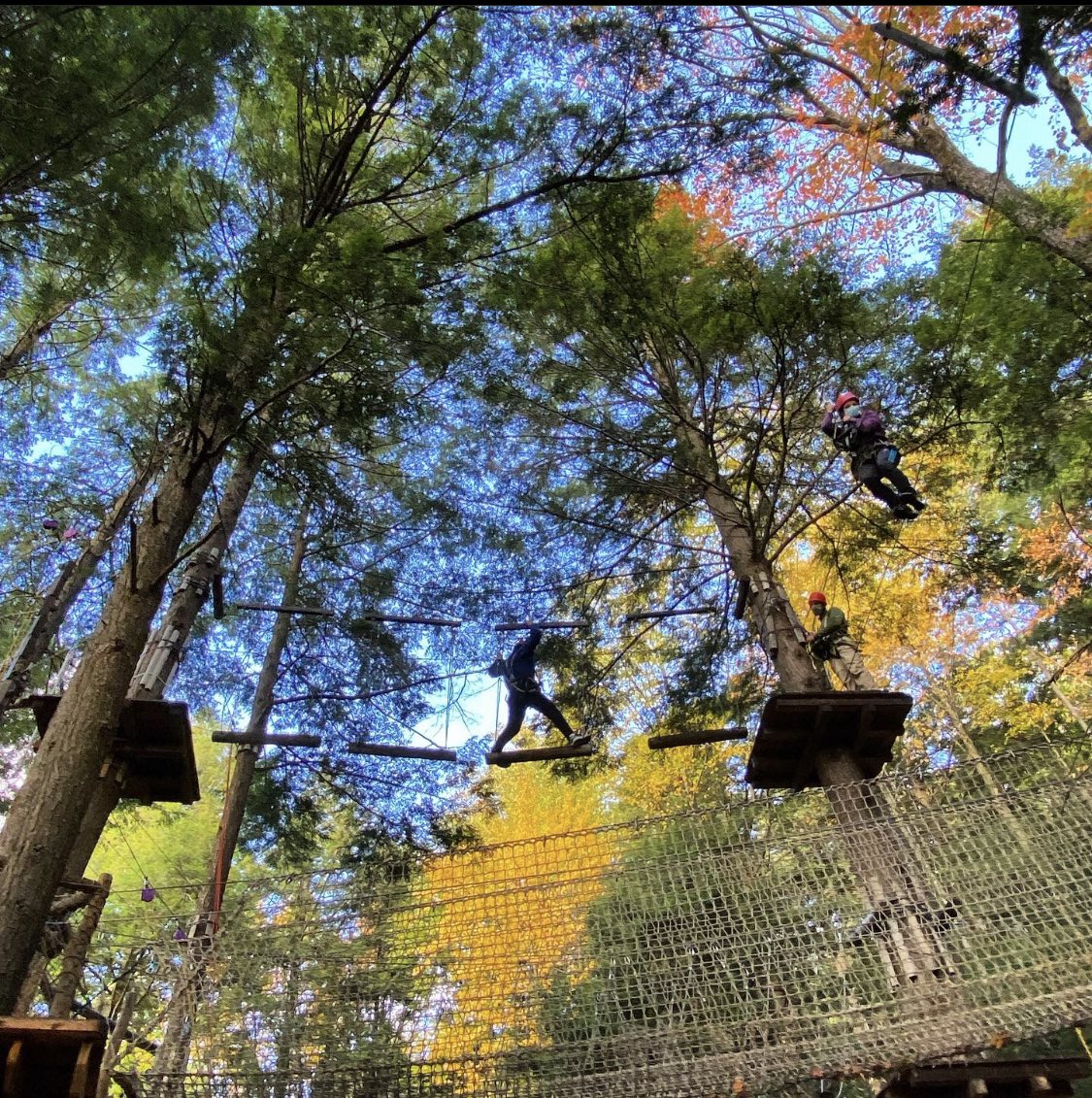 RamblewildFun's tweet photo. Combine leaf peeping with a day in the trees in our Aerial Adventure Park! #HonorYourWild #WildFall https://t.co/LgCXcBIqjU