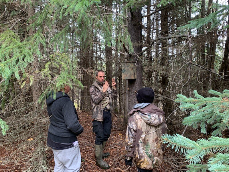 Dead Pine Collective tweet media