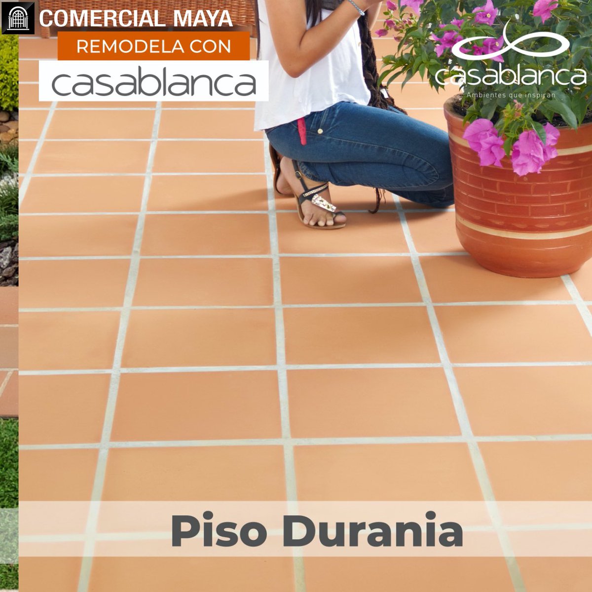 ComercialMaya's tweet photo. Productos  Ambientes CasaBlanca los encuentra en #ComercialMaya
✅ Asesoría 👷🏻‍♂️
✅ Calidad ✨
✅ Buen Precio 💰
✅ Ambientes Modelo 🛁
Nuestros locales 🏢
📍Montalvo y Av. Rodrigo Pachano
📍Atahualpa y Nary Pillahuazo
📍Sector Huachi la Magdalena km 3
https://t.co/CRQLzDzn5n https://t.co/Zwm4W5KpBr