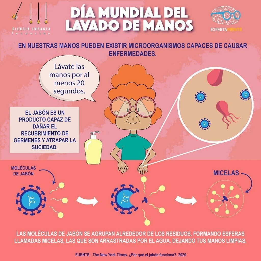 expertamente's tweet photo. 🔹Hoy es el día mundial del lavado de manos🤲🏼💦. Sabías que es la medida de salud más barata y eficiente que existe y es capaz de prevenir muchas enfermedades!

Recuerda que cuando te laves las manos, llega a cada pliegue con jabón 👍! 

#jabon #lavadod… https://t.co/stfGcpoPxU https://t.co/fMfGv2wg3u