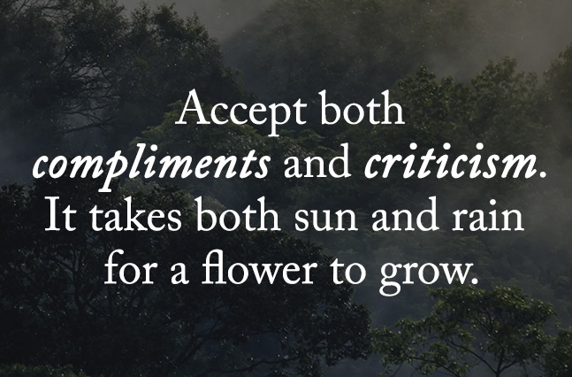 LeadToday's tweet image. If you’re never criticized then you’re very likely playing life too safe.