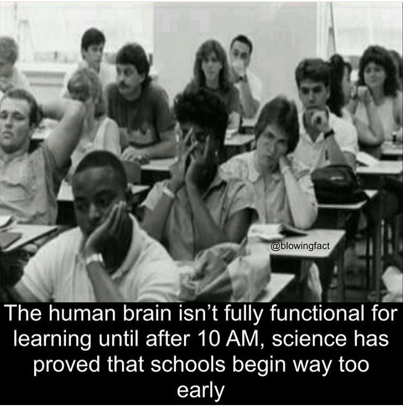 jenzie1088's tweet photo. Ahora traten de estudiar una maestría a las 3 am. Así no se puede. De mi clase somos el único país que no han emitido visas. @AlemaniaMexi
@SRE_mx
@GermanyDiplo 
 @HeikoMaas 
#PeterTempel #EducationIsNotTourism 
🇩🇪🇲🇽 https://t.co/heBfT8EqW7