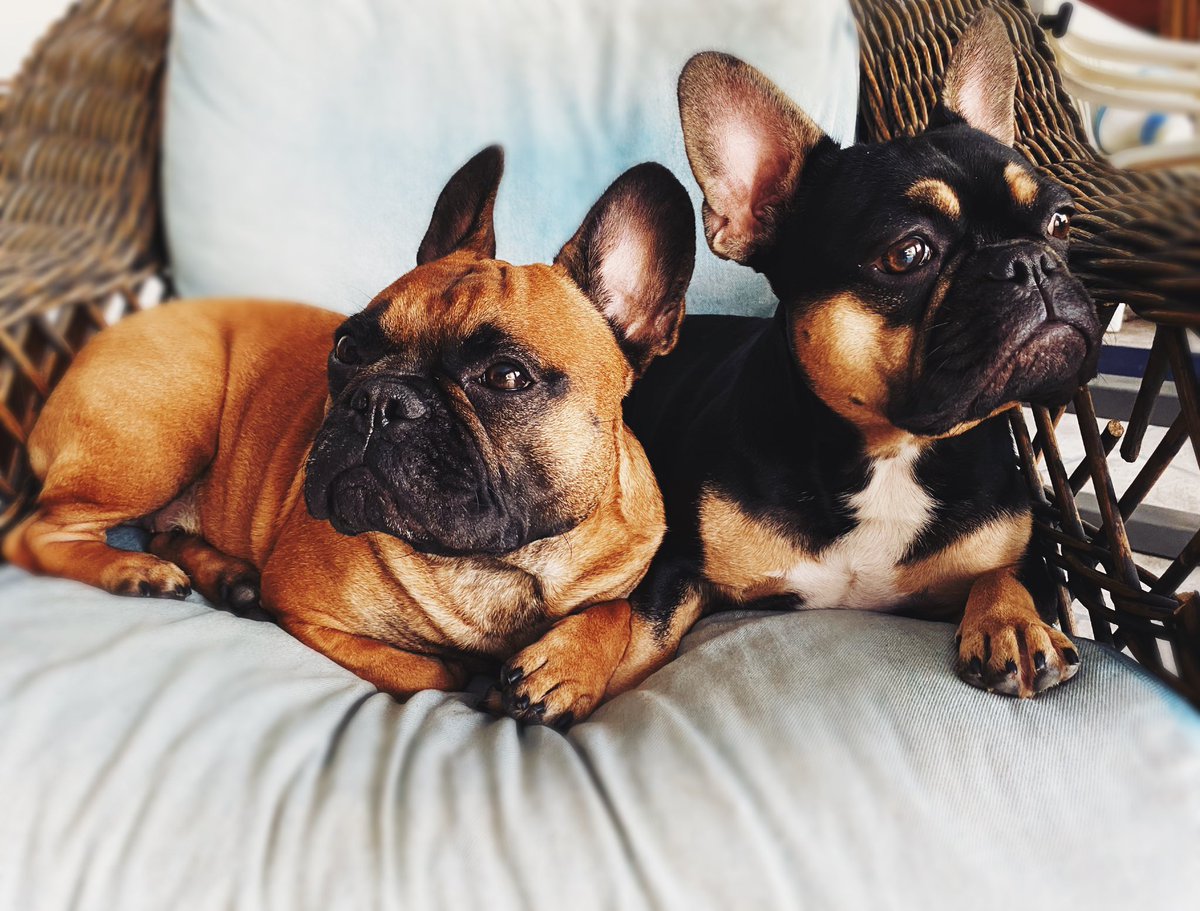 Pinot & Merlot tweet media