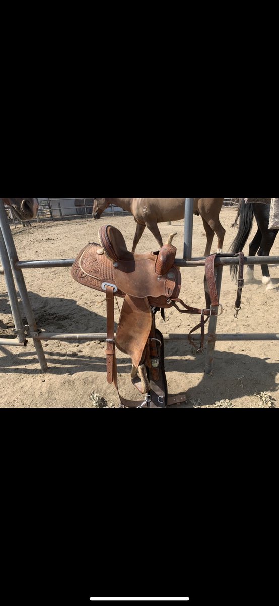 sunflowertayy's tweet photo. Someone buy my saddles. I need to buy a wedding dress 😂 https://t.co/AovFXE2irT
