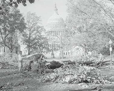 6. By dinnertime, as Torontonians arrived home at the end of a soggy commute on the city's brand new subway, Hazel was tearing through Washington, D.C.