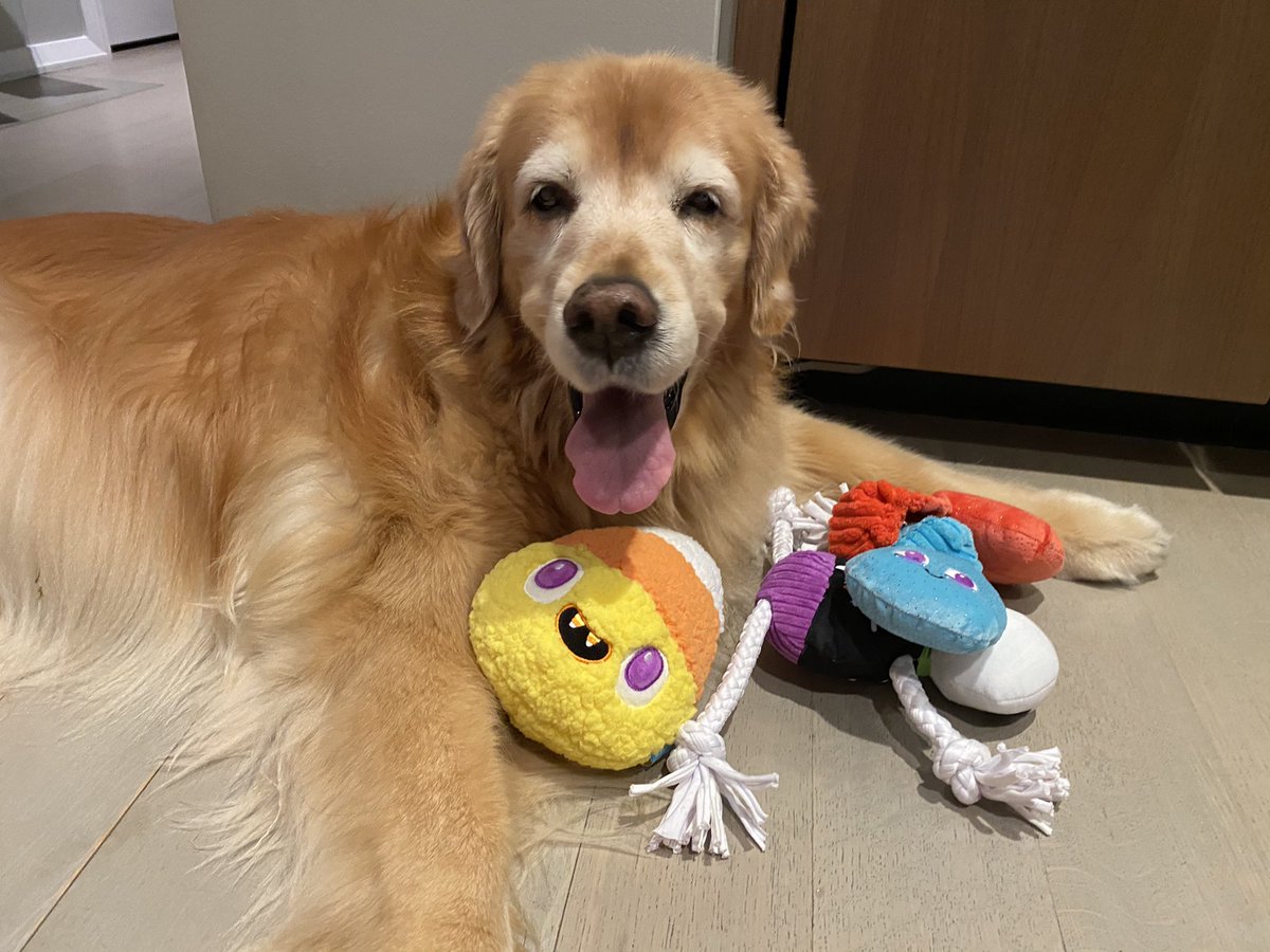 Thinks Wife tweet media