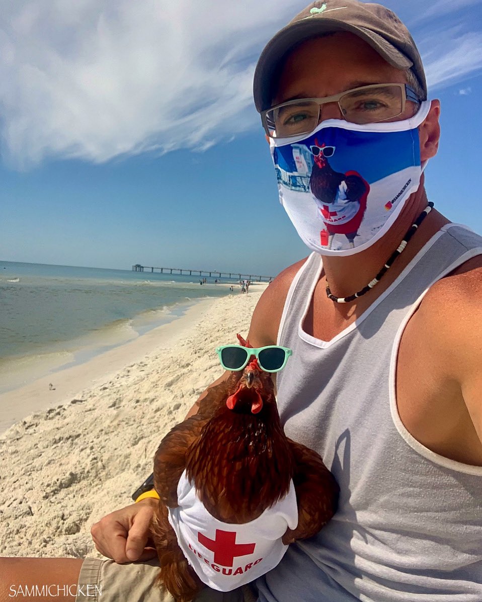 SammiChicken's tweet photo. #ad Have you ever tried to put a mask on a chicken? It's impossible, just ask Dave. So it got me thinking, don't put a mask on a chicken, put the chicken on the mask. Now Dave looks as cool as me &amp; we keep everyone safe &amp; healthy😷
#ProtectTheVulnerable
#OkaloosaCares #MyOkaloosa https://t.co/ackB8LK9gu
