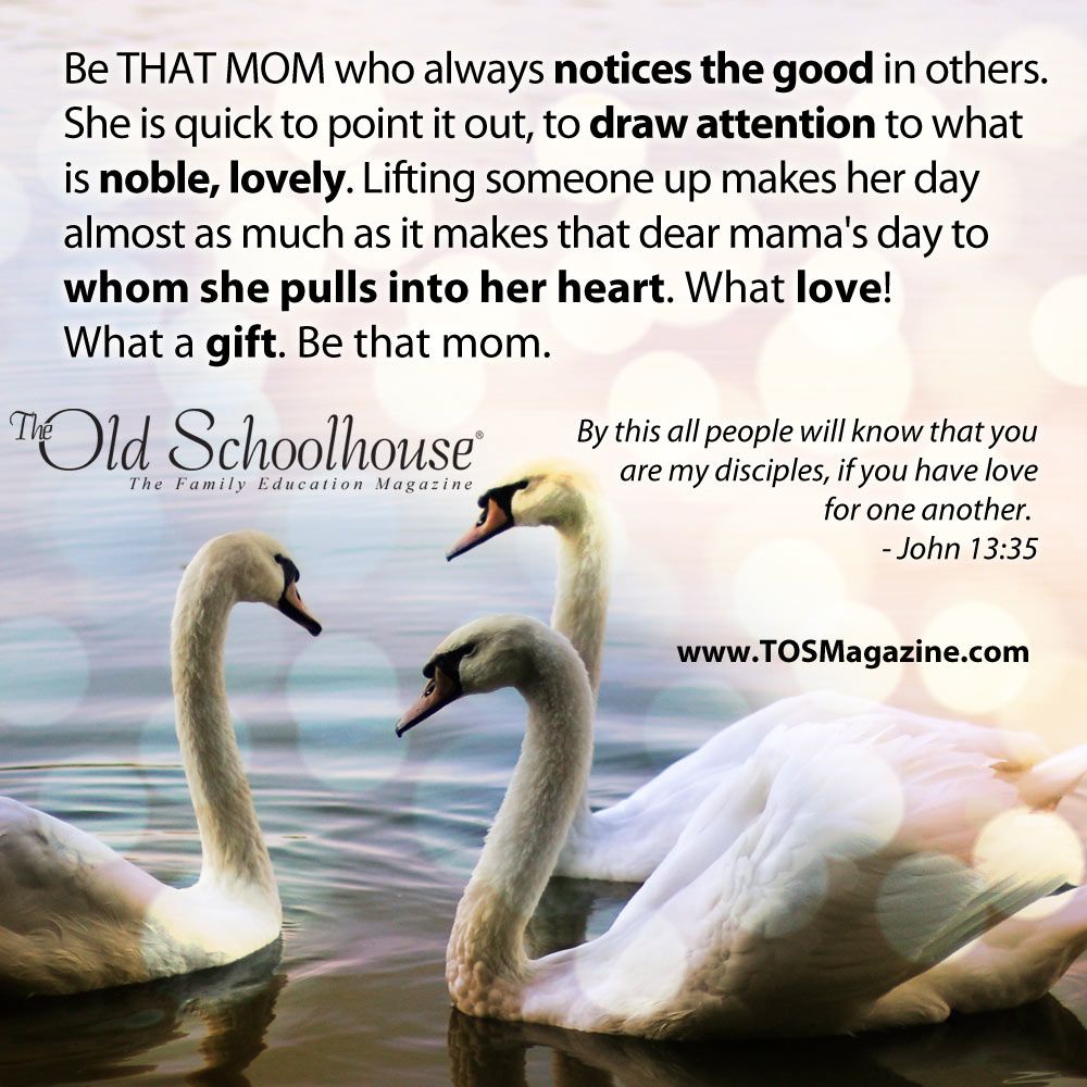 Tos Magazine Tosmag Twitter