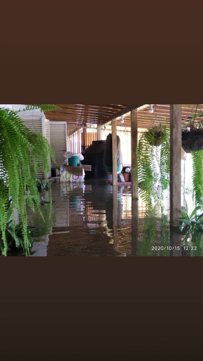 Anita Rodriguez tweet media