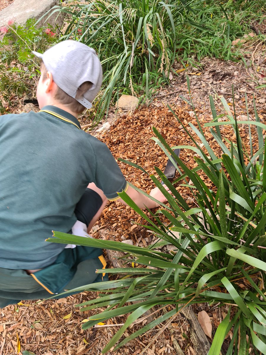 We are busy mulching, watering and turning the compost in gardening today!