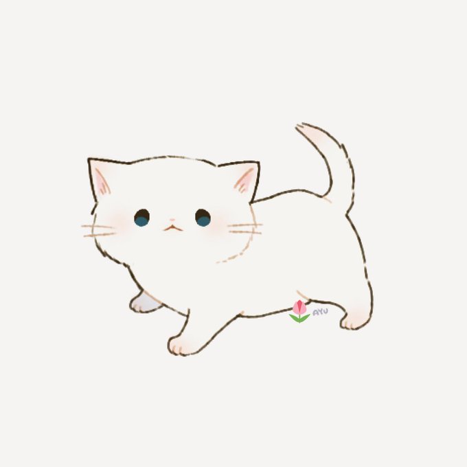 「サイン 白い猫」のTwitter画像/イラスト(人気順)