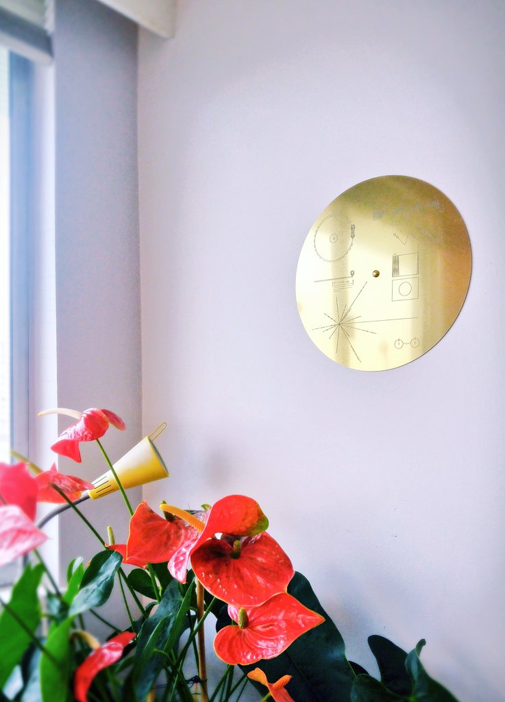 Okinfografia's tweet photo. Nueva pieza adorna la pared de esta friki casa. Un verdadero tesoro: una réplica a tamaño real grabada a láser de la tapa del disco de oro de la Voyager que ahora mismo viaja por espacio interestelar donde ningún otro artefacto humano ha llegado jamás 🛰🌌
https://t.co/OjRTWfwCrz https://t.co/bYXtHzLV35
