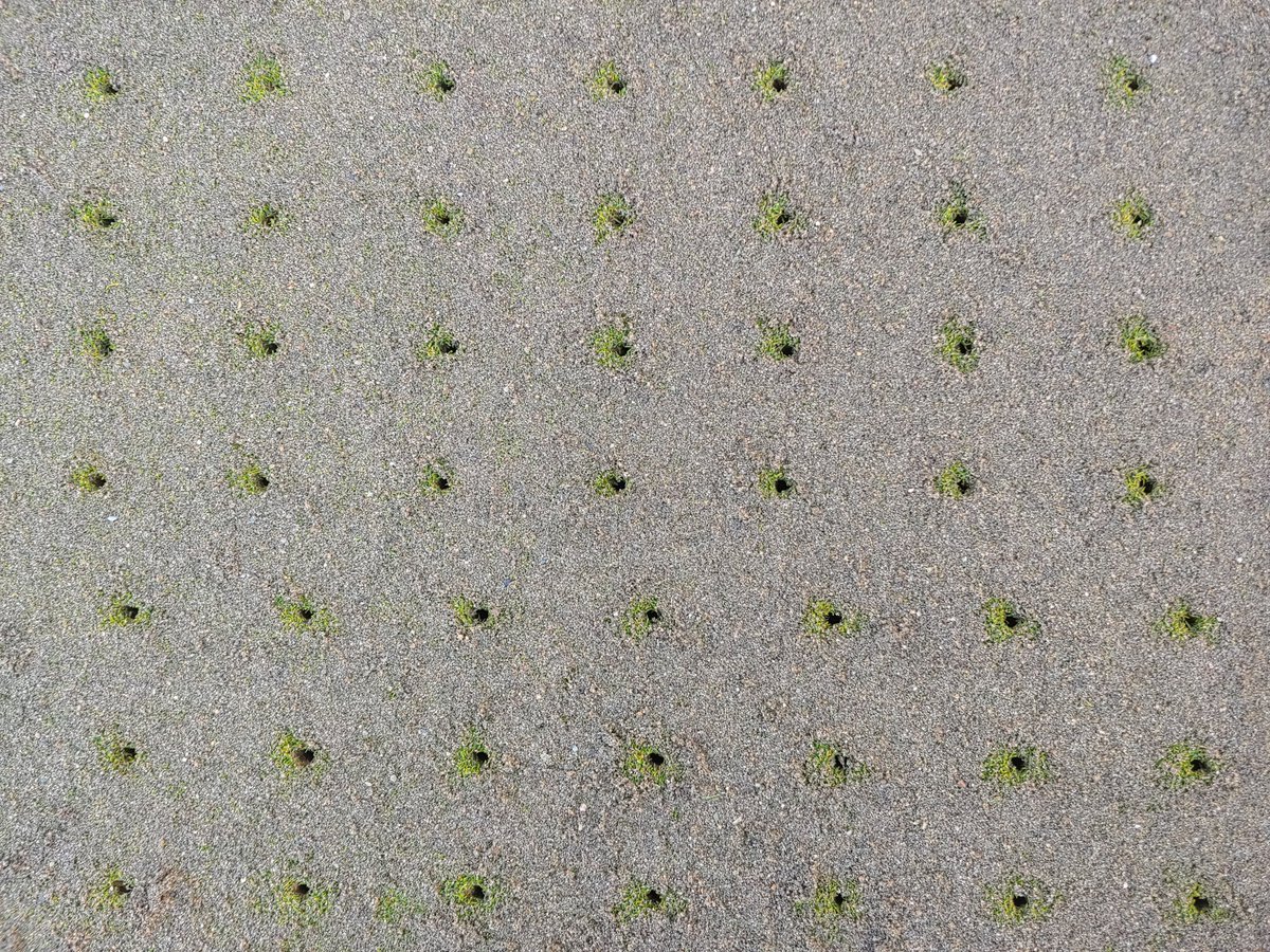 turfmow's tweet photo. Striving for geometric excellence at a depth of 8.5 since the crack of dawn.
Fall deep tine in the books.
#turflife #islandgolf @CordovaBay #perfectgrid https://t.co/JMp6vvlaRI