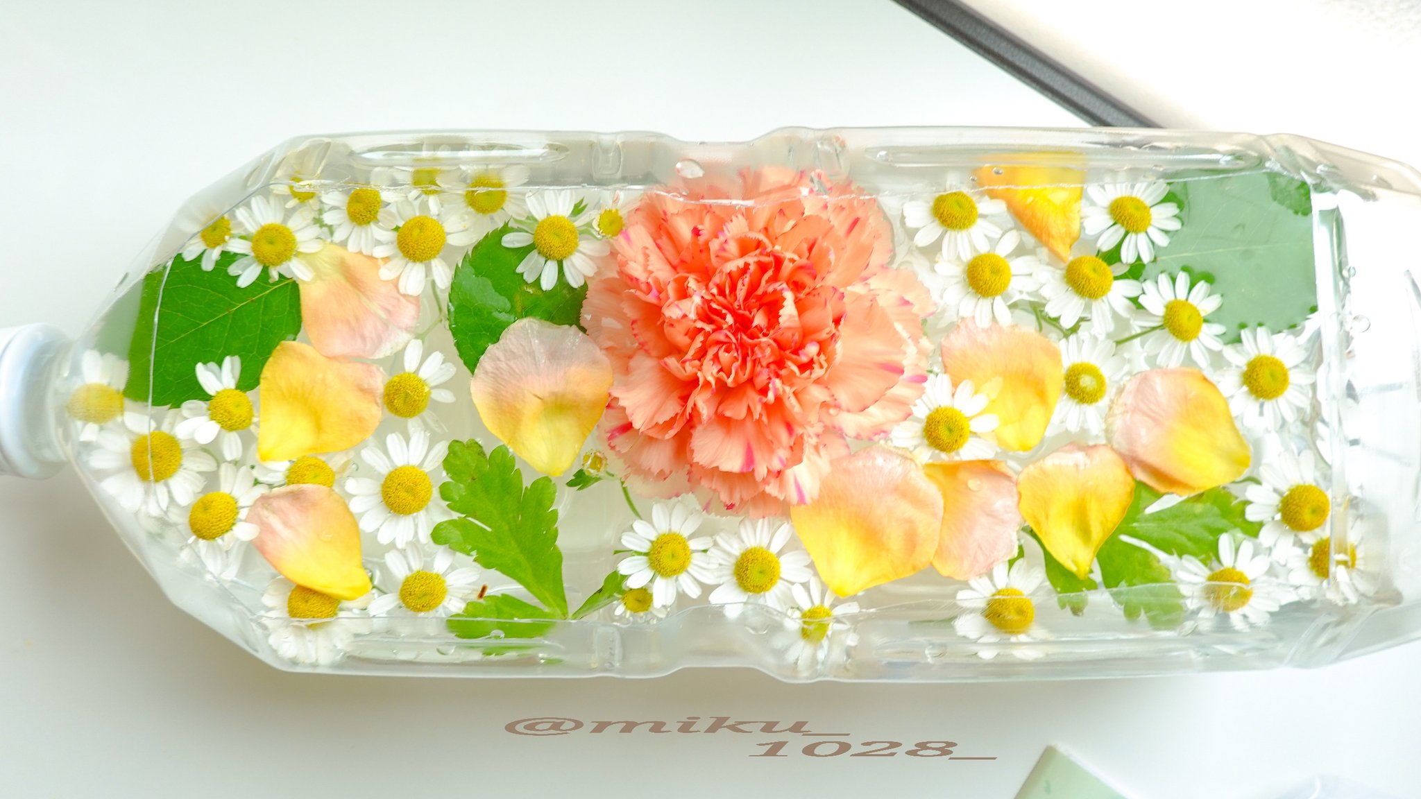 Miku 写真を撮る人 頂いたお花で花手水風にしてみました せっかく頂いた花を少しでも長く楽しみたいのでペットボトルで器を作成 ぷかぷか浮いている感じが癒されます なかなか好評で嬉しいです 自宅でもできますねこれなら 是非どうぞ 花手水