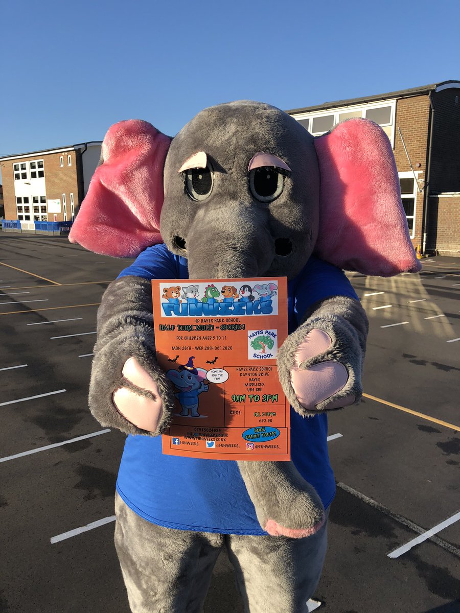 Hayes Park School tweet media
