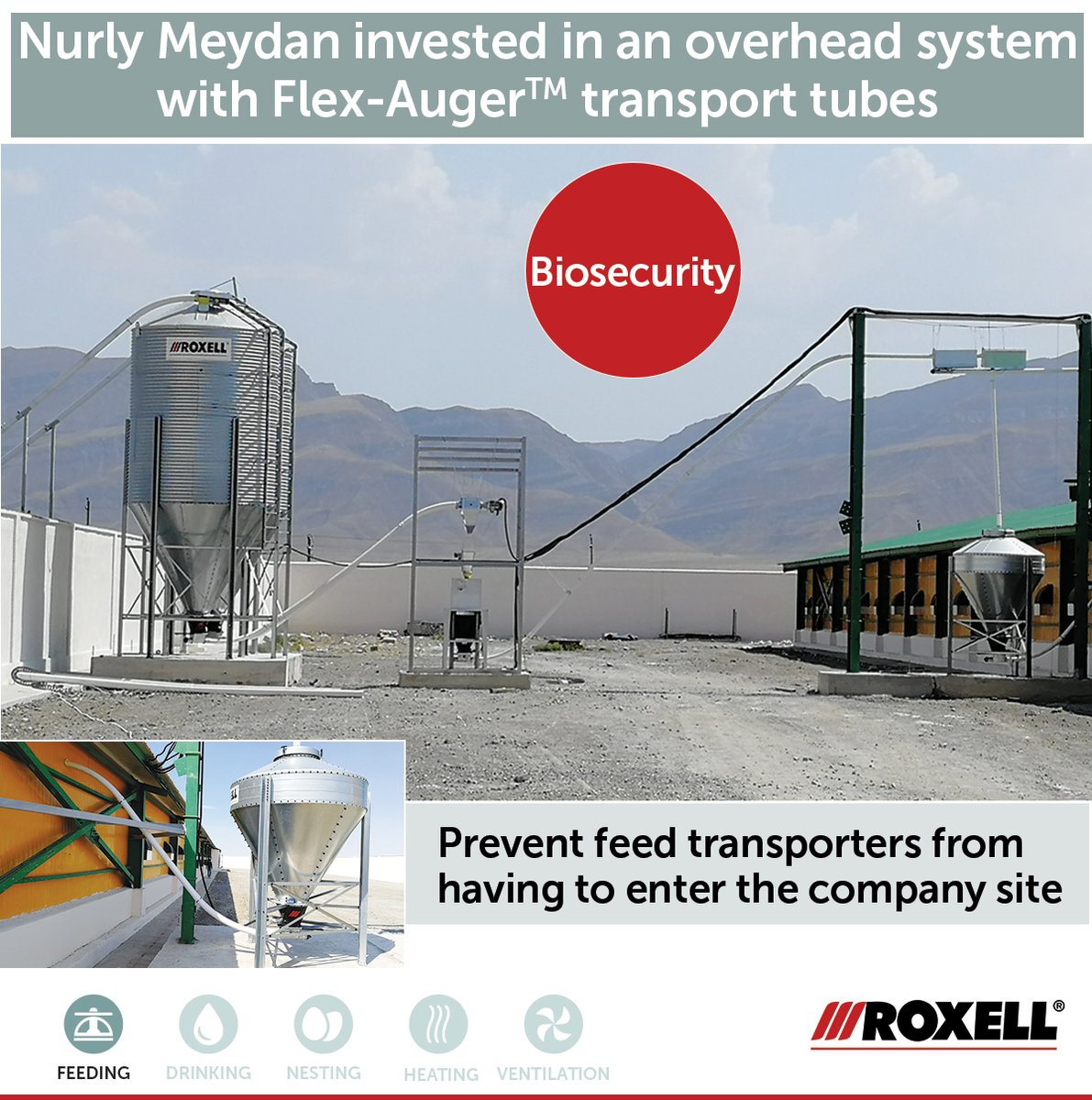 Roxell_Belgium's tweet photo. Breeder farms all over the world are investing in biosecurity. In Turkmenistan, Nurly Meydan invested in an overhead system with Flex-Auger™ transport tubes. The central brain of the farm is an iQon™ feed controller. #biosecurity https://t.co/EOC6PGx3Zd