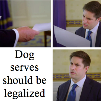 Downball Australia tweet media