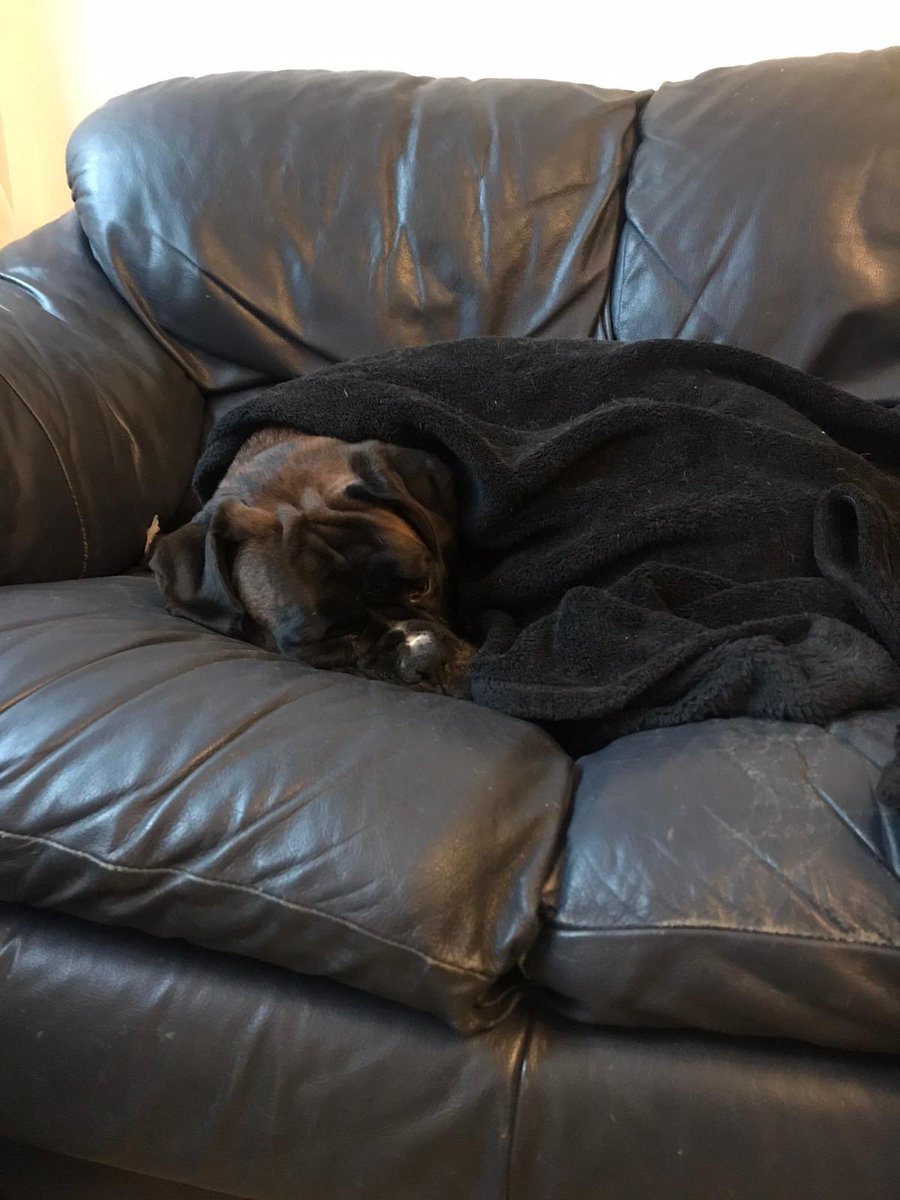 Vinnie Boxer tweet media