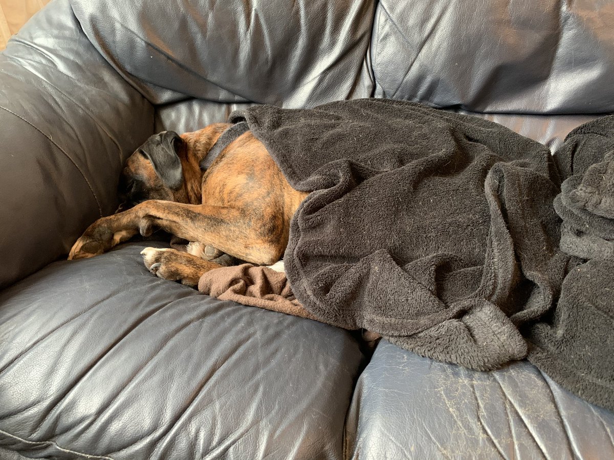 Vinnie Boxer tweet media