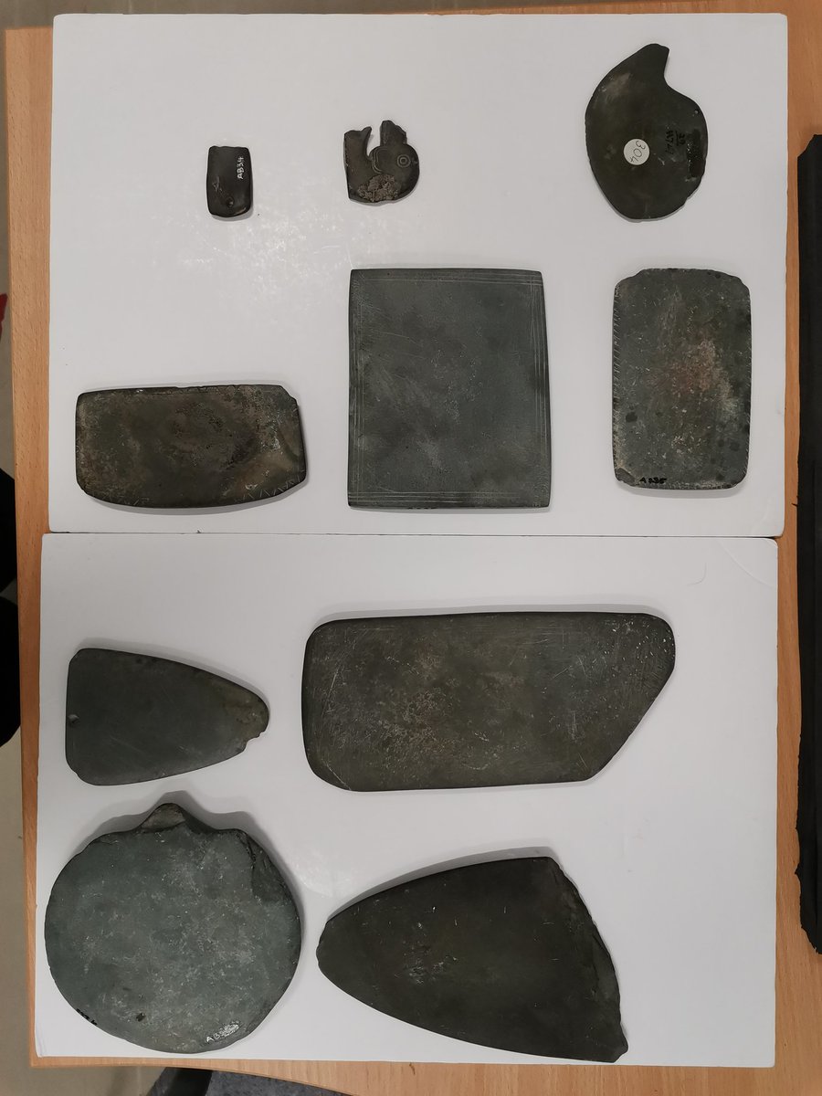 Early start photographing the Predynastic palettes in @TheEgyptCentre. I wonder who requested these! #palettology #pittedpalettes https://t.co/rCwZyhmMDx