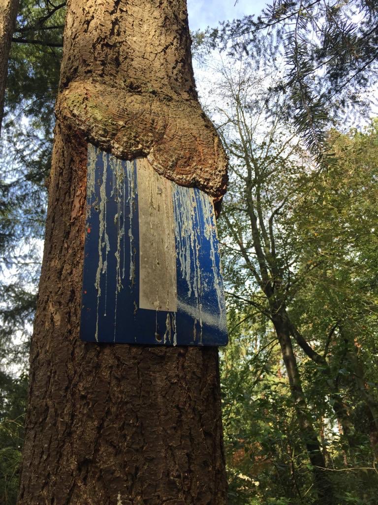 Daan40872511's tweet photo. @DeBomenridders Rechtdoor gaat hier ook niet zo simpel meer🥴🤣! https://t.co/hYTXof76ea