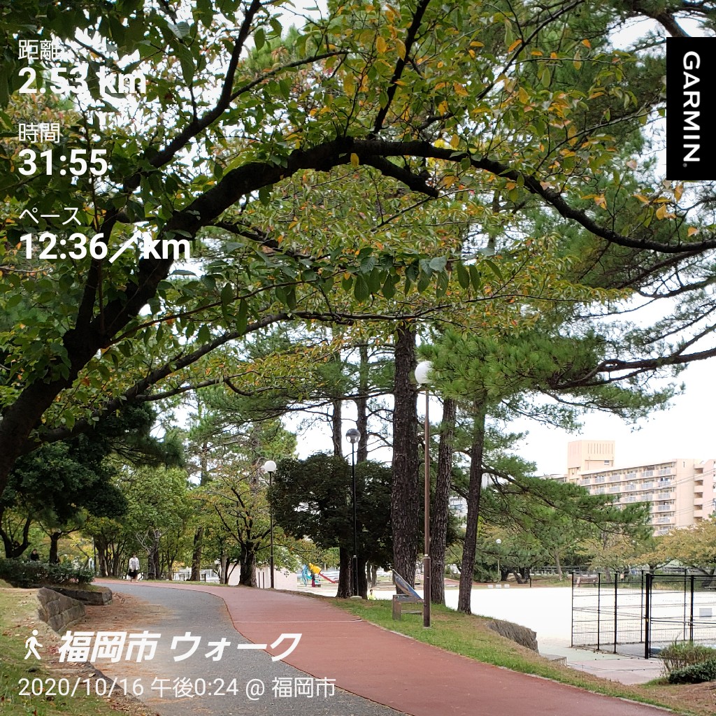 山王公園 山王公園