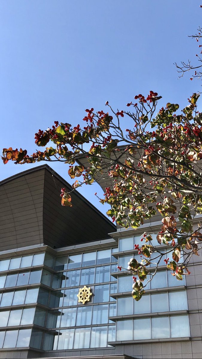 真如苑インフォメーション Shinnyoen Info Twitter