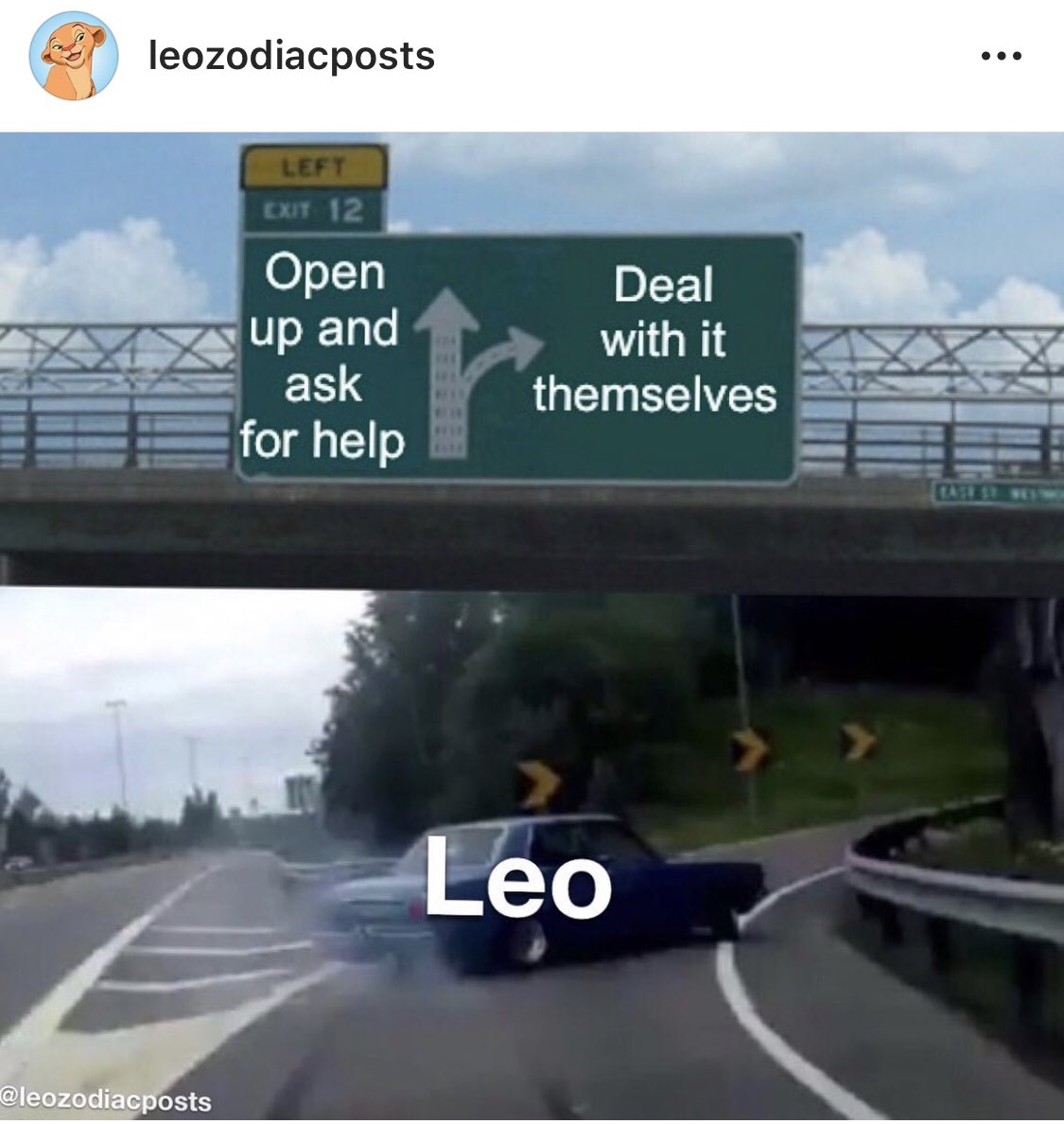 Leo_Tweets's tweet photo. Follow leozodiacposts on Instagram for all the best #Leo memes. 🦁♌️😈 https://t.co/6647gPDqvT