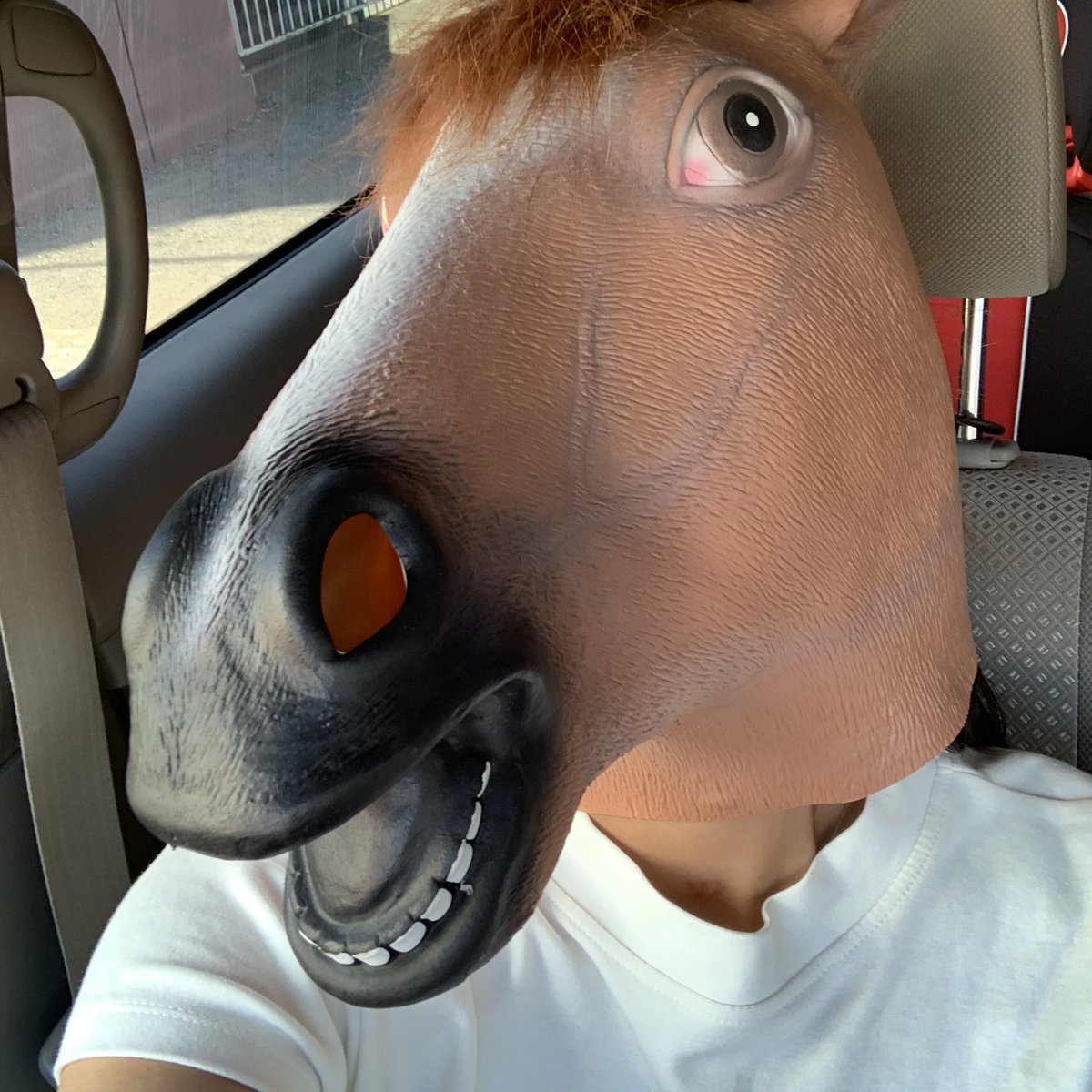 kitwell_tanaca's tweet photo. お迎えなう🐴🚗
今日もいい感じに馬ってる🐴💕
#キットウェル
#kitwell https://t.co/3x2dTmqhtW