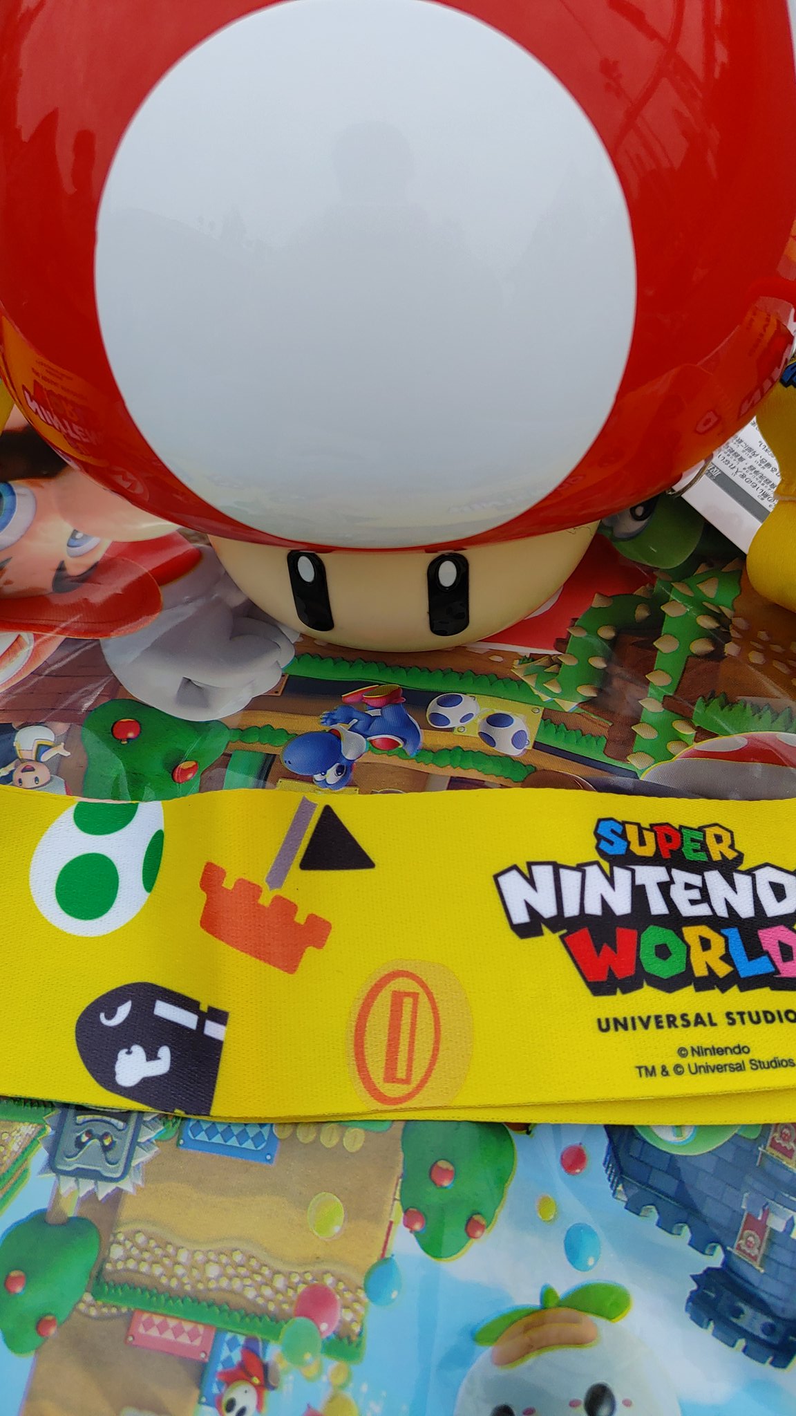 Boxchannel ぼっくすちゃんねる Usj マリオカフェ スーパーキノコ ドリンクボトル 容量500ml 1800円 1800コイン マリオ マリオカフェ Usjファン ユニバ スーパーキノコ ドリンクボトル 可愛い