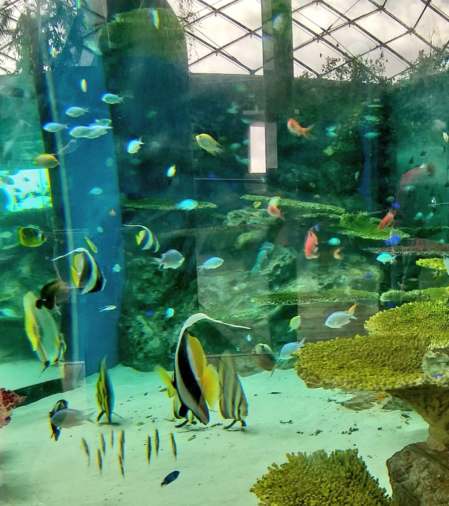 淡水水族館 淡水水族館