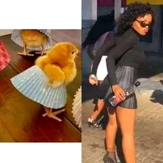 Matome_Kay's tweet image. She&apos;s been around for a while... they grow that fast #Stocko #JohnVuliGate #johnvuligatechallenge