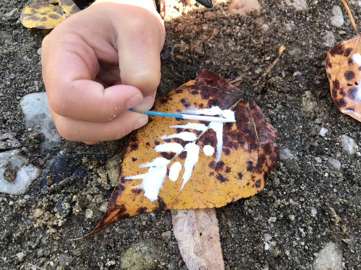nature_re's tweet photo. Concentrate on the small and simple things. Learn about leaves in your area by taking a moment to study your environment. #painting #leaves #natureschool #gooutside #autumn #environment #kidsoutside https://t.co/RqGMIMNAlj