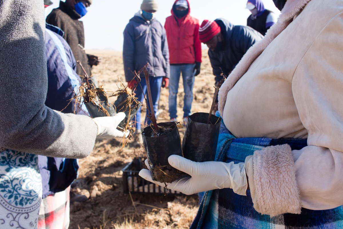 #WorldFoodDay is, to us, not just about #foodsecurity and #food but combined efforts by each of our people to plant and grow today to allow all of us access to each of us the opportunity to continuously put on the table for all our families