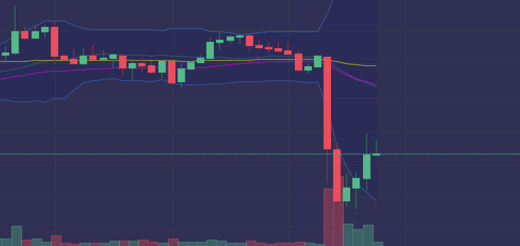 Tigzy 🎯🕵️♀️ tweet media