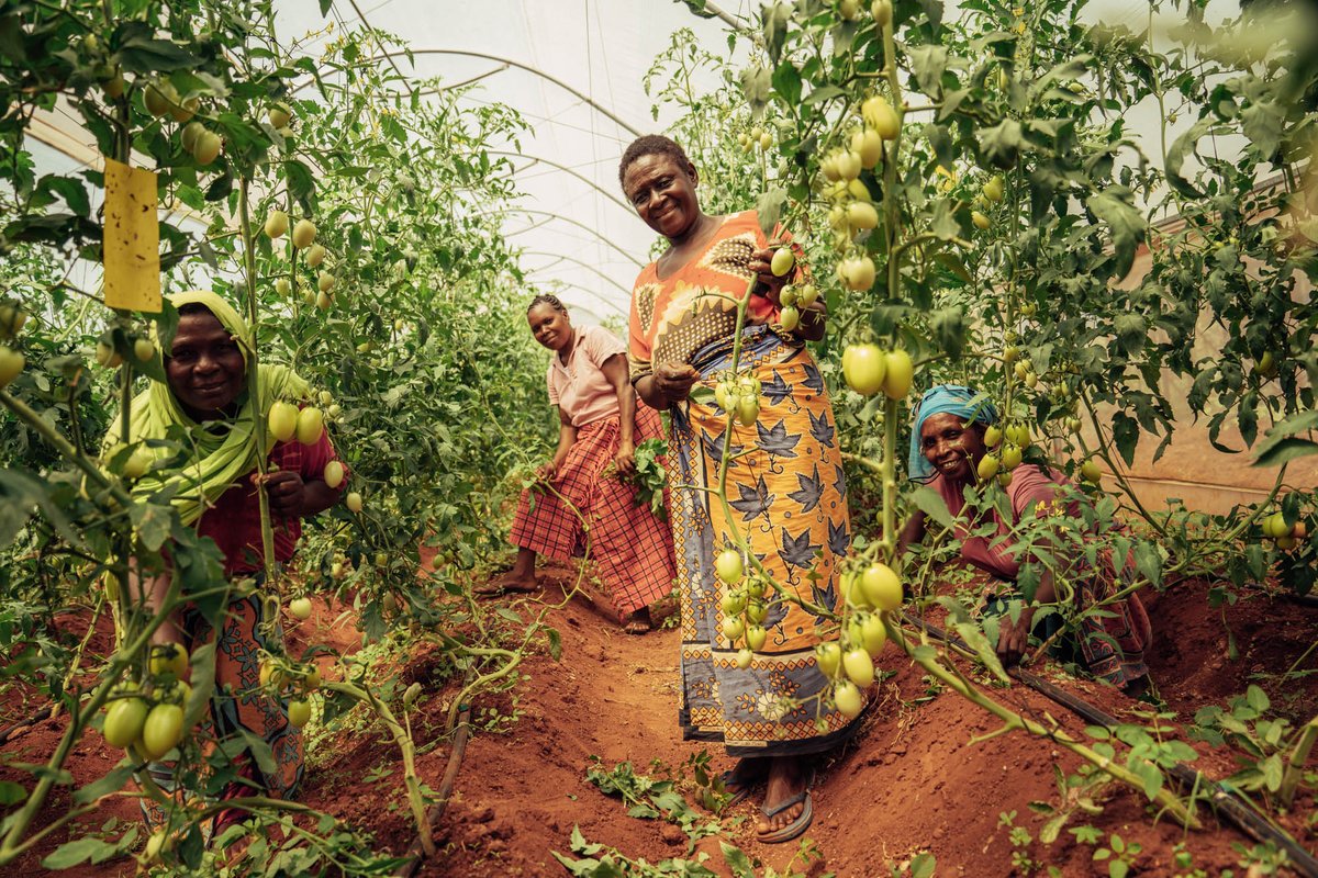 WildlifeWorks's tweet photo. According to the @UN , women play a major role in supporting their households and communities in achieving food security, generating income, and improving rural livelihoods.
#RuralWomenDay
#protectwomen
#thisisredd https://t.co/xuYWrzcm37