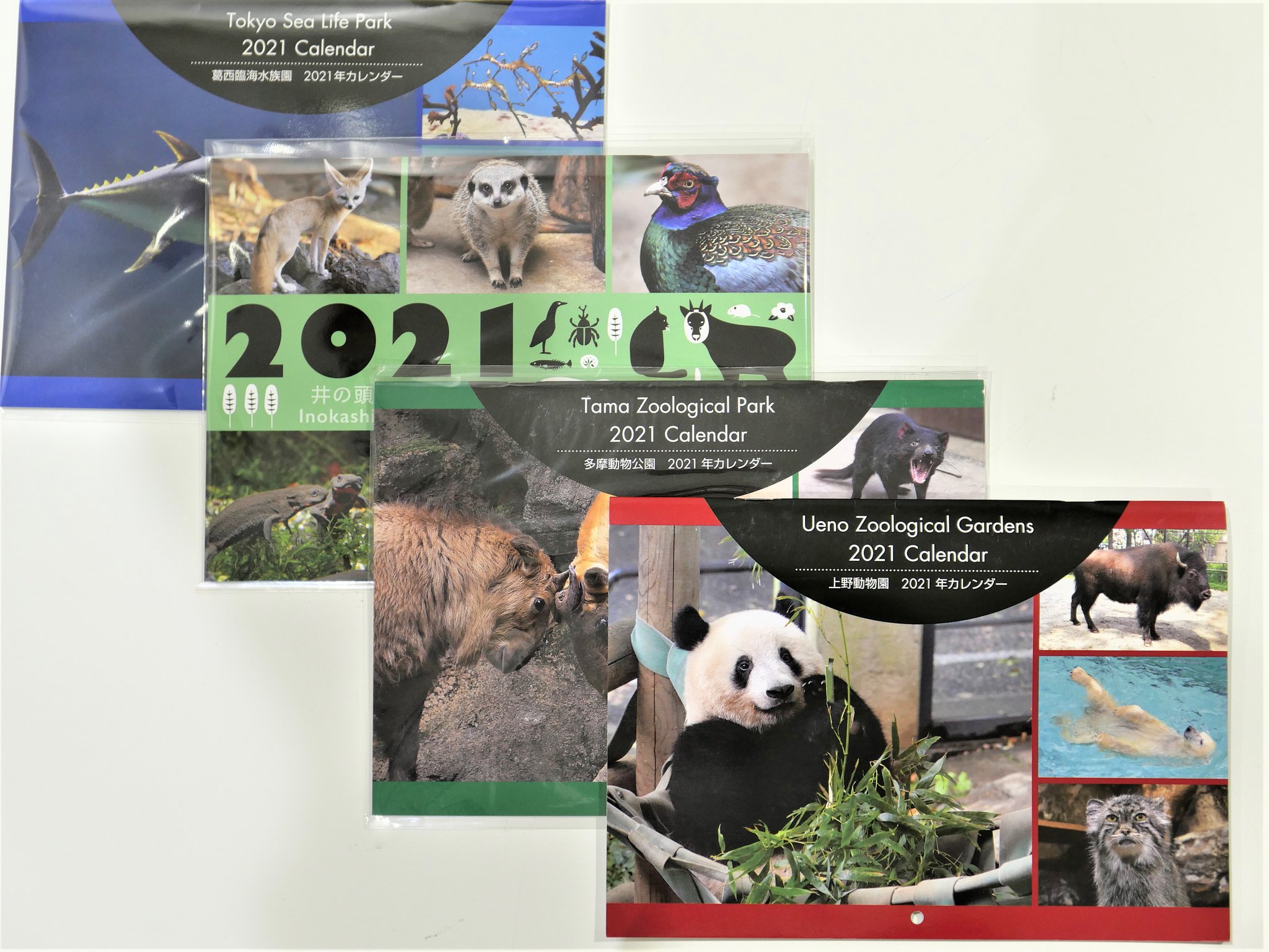 当店限定販売】 上野動物園 多摩動物公園 葛西臨海水族園 都立9庭園