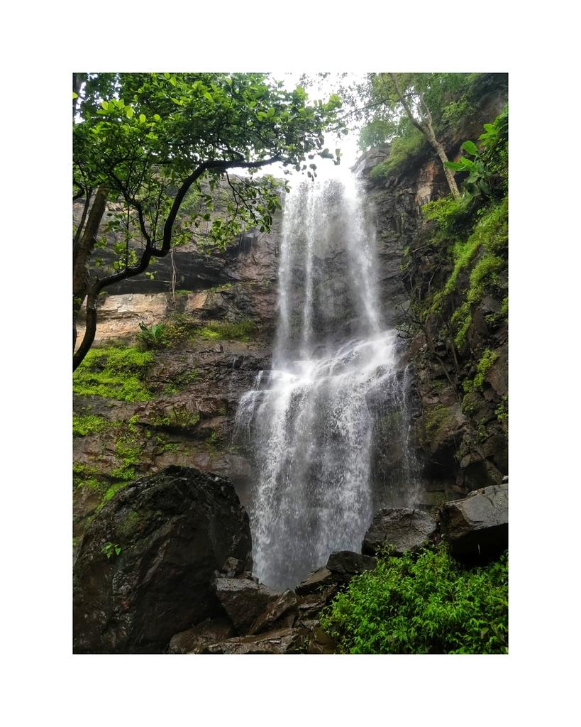 _teddy_62's tweet photo. Look deep into nature, and then you will understand everything better❤🥰 https://t.co/3uZYppcbsO