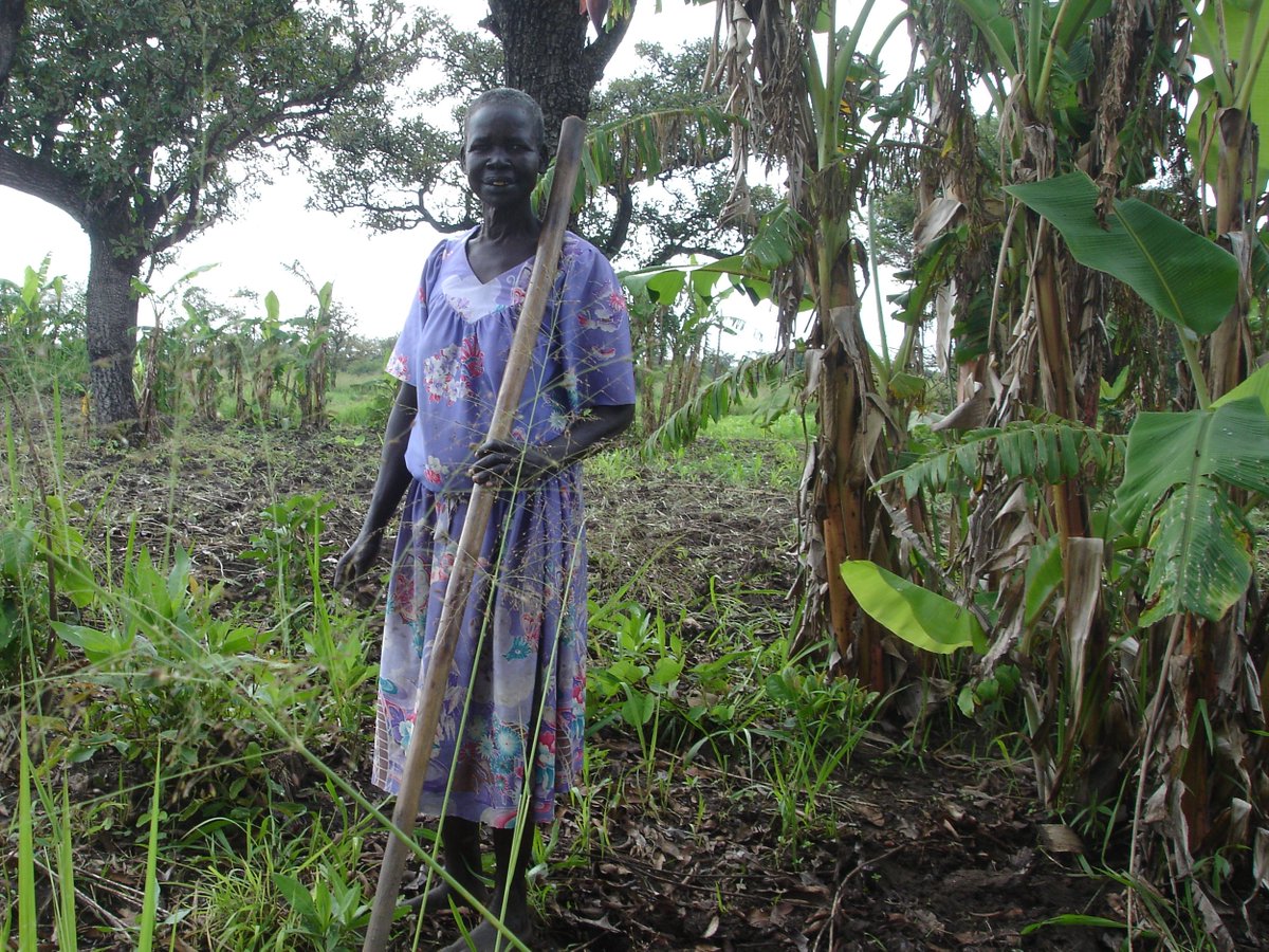 TFV_FPV's tweet photo. Over 60% of the world's hungry live in countries affected by conflict.

On #WorldFoodDay &amp; every day, the #TFV is committed to helping survivors of grave crimes under the jurisdiction of the #ICC improve their economic situations &amp; rebuild their lives. #Resilience #JusticeMatters https://t.co/9Gc7Xf4QHB