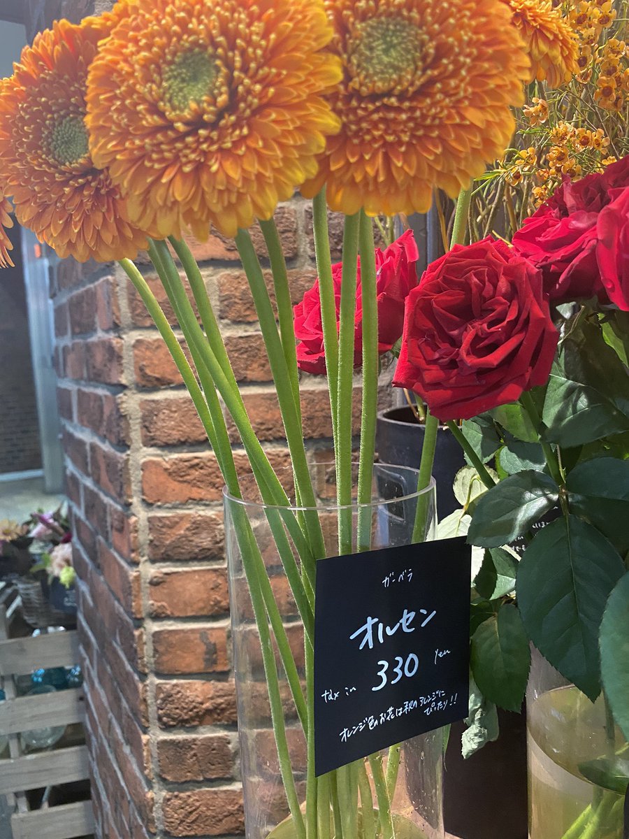 ゆっきー キンプリの配信ライブの余韻にいつまでも浸っております 駅前の青山フラワーを通りかかると うっかりオレセン Oresen と思って二度見したら オルセンという名前のガーベラでした 笑 あの ５人のお姿が浮かんじゃいました キンプリ
